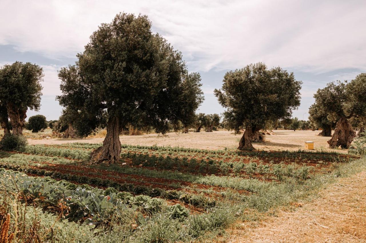Masseria Garrappa Fasano Exterior foto
